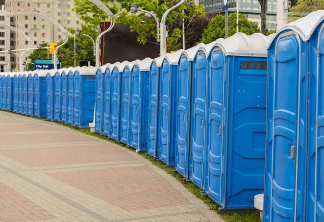 Seasonal porta potty units set up at a Silver City, New Mexico venue